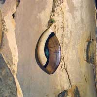 Unsere Schmuckst�cke aus der Kollektionen-Galerie