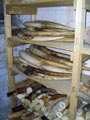 Crevellen, kleine Z�hne bis 5 Kilo.