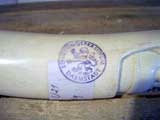 Stempel des Regierungspr�sidiums.