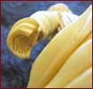 Der gebrochene Arm nach dem L�sen der Hand