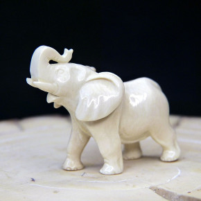 kleiner Elefant aus Mammut