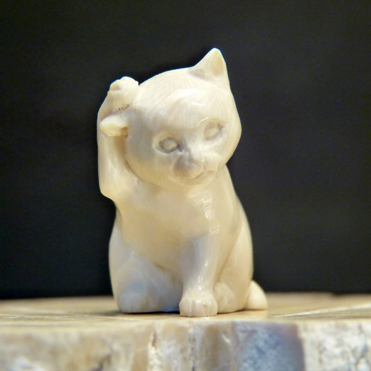 sich putzende Katze aus Mammut