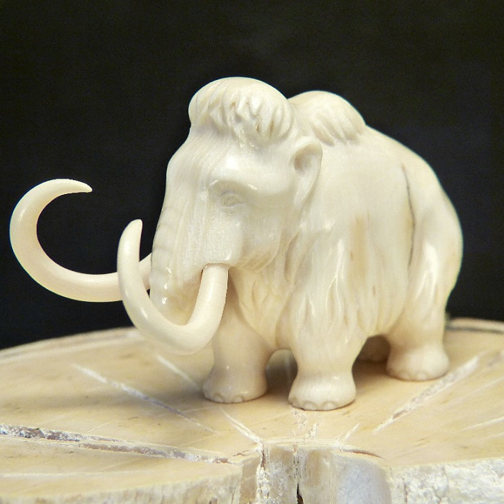 Mammut mit schöner Maserung