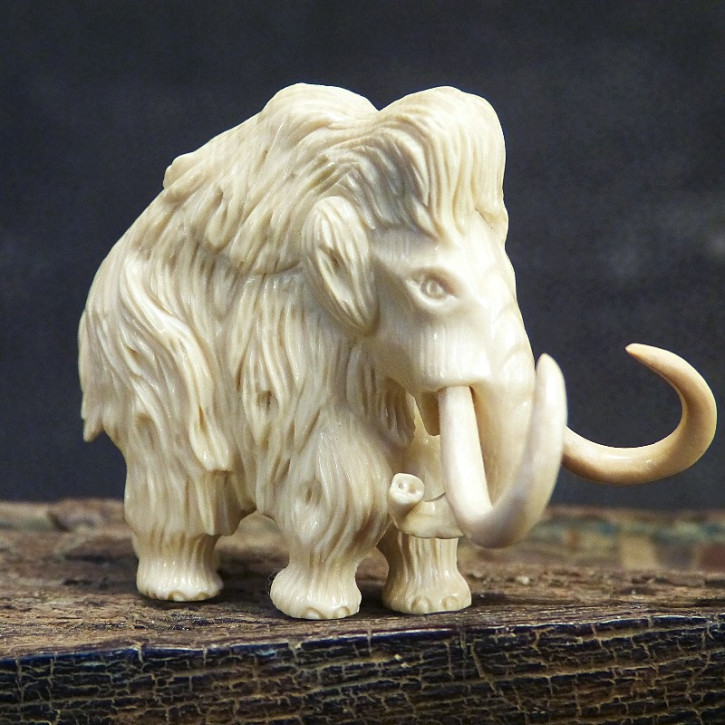 Mammut mit feinem Fell