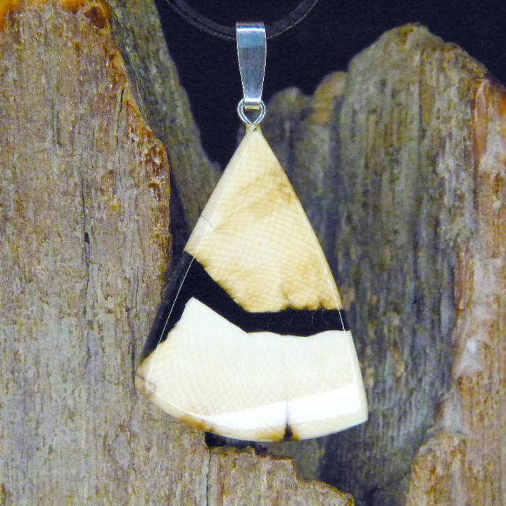 Mammut-Anhänger stark gemasert