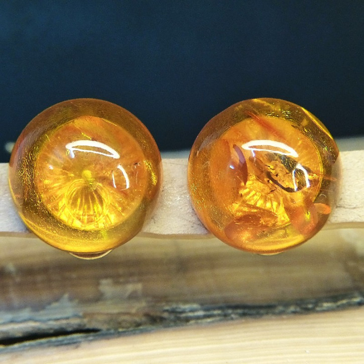 Bernsteinclipse ca. 18mm
