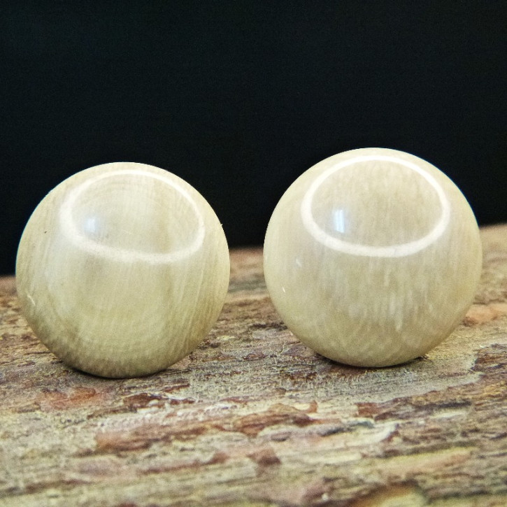Bouton-Ohrstecker aus gräulichem Mammut ca. 18mm