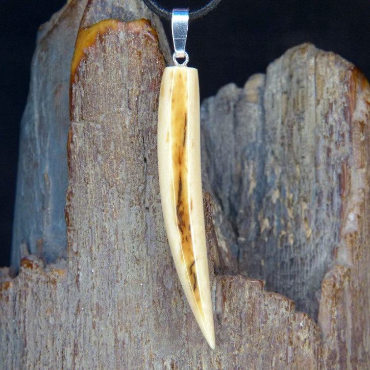 schlanker Zahnanhänger schön gefärbt