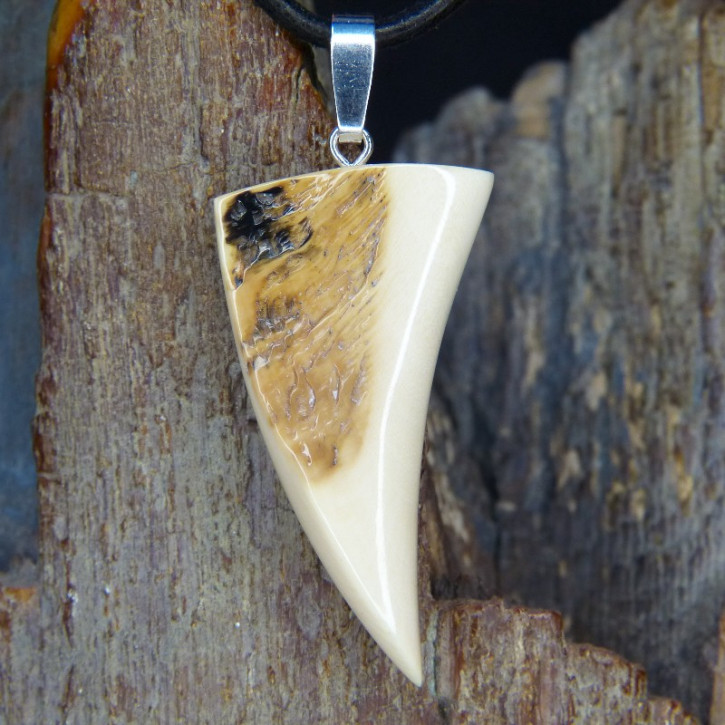 Mammut-Zahnanhänger mit natürlicher Bruchkante