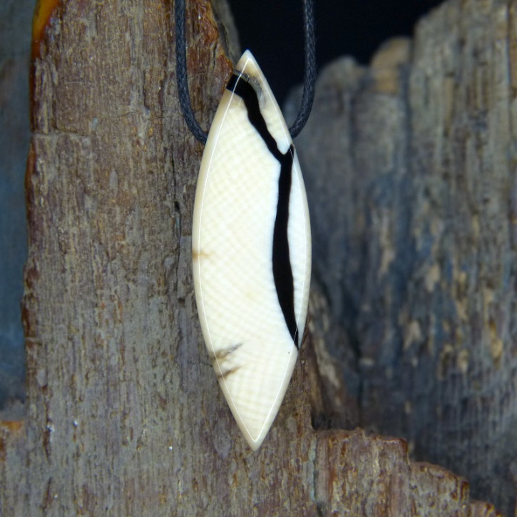 Mammut-Navetteanhänger mit ausgeprägter Maserung