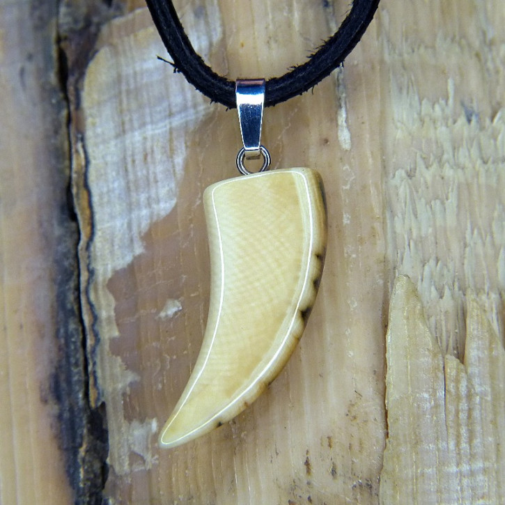 Zahnanhänger mit schöner Rindenfärbung