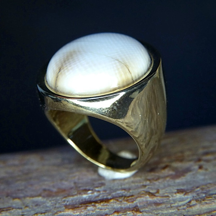 Edelstahlring vergoldet mit Mammut W17,5