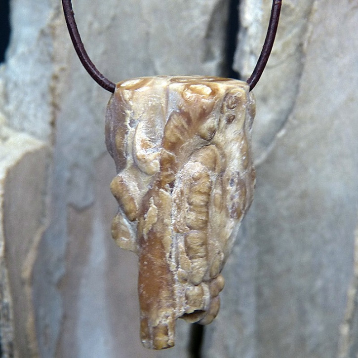 seltene "Erbsenwucherung" als Anhänger