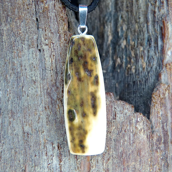 Rindenanhänger mit schöner Färbung