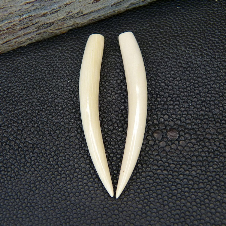 1 Paar Ersatzstoßzähne aus Mammut ca. 55mm lang