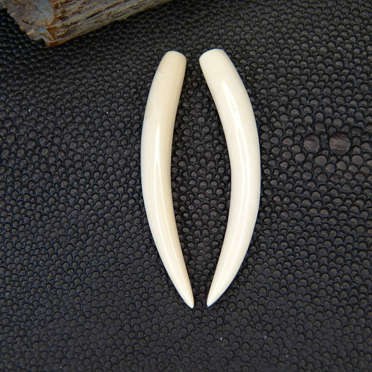 1 Paar Ersatzstoßzähne ca. 45mm lang