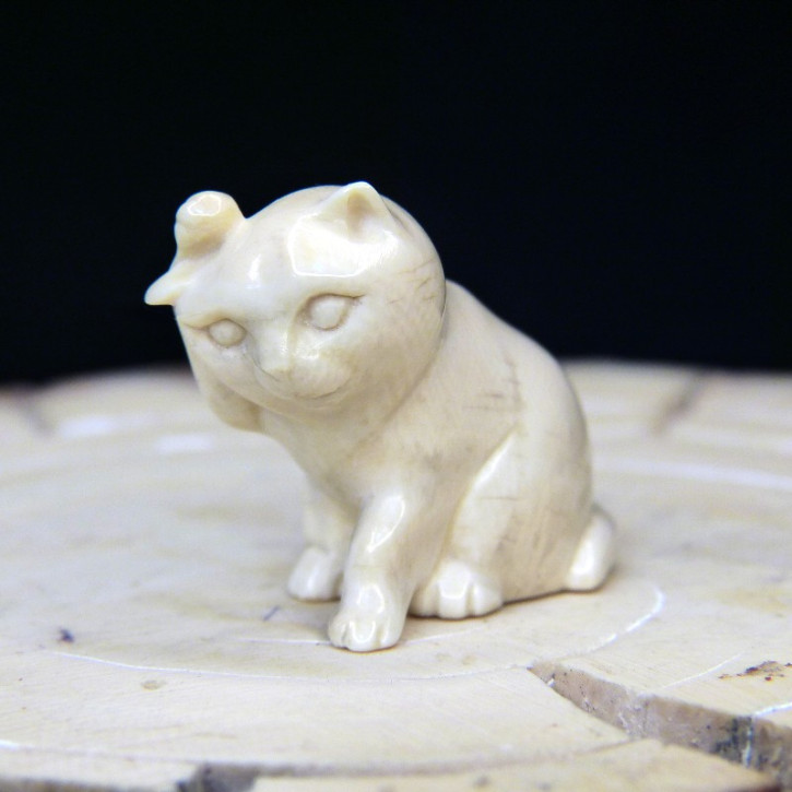 sich putzende Katze aus Mammut