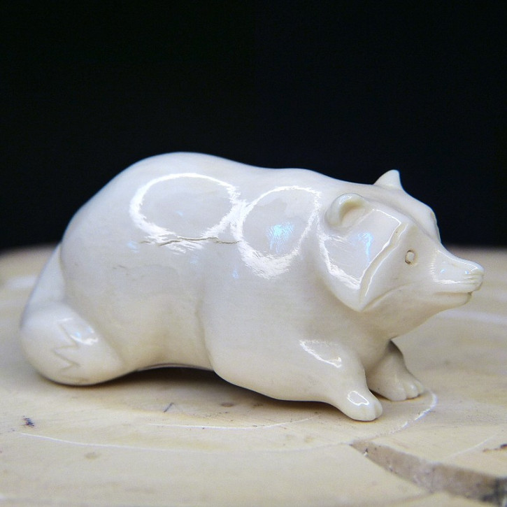 Waschbär aus Mammut