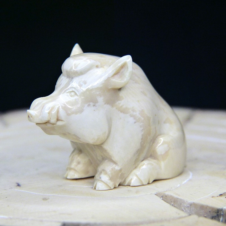 sitzendes Wildschwein aus Mammut