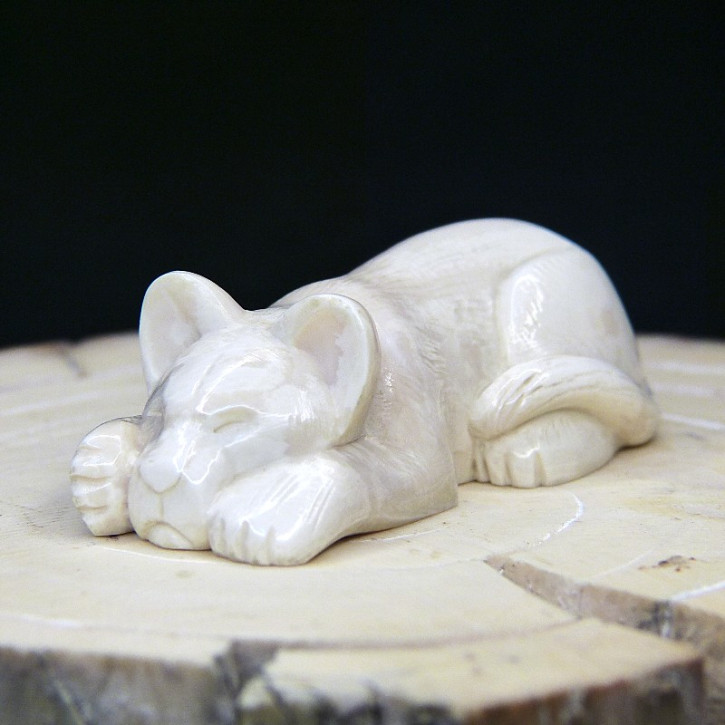 schlafendes Löwenbaby aus Mammut