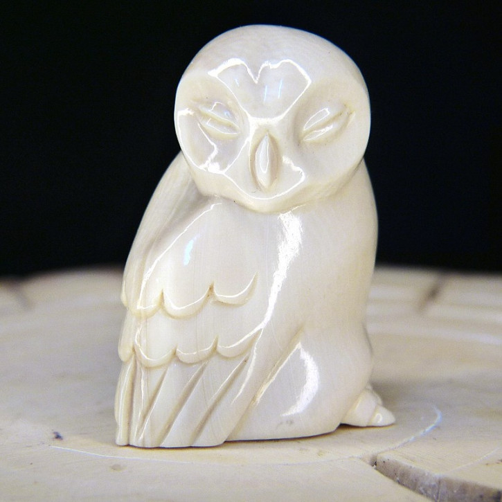 kleine Eule aus Mammut