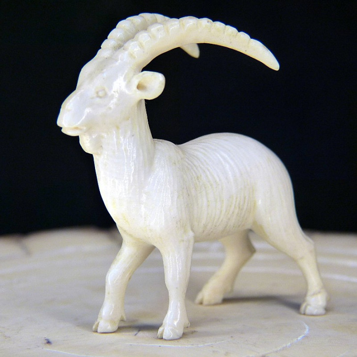 Steinbock aus Mammut