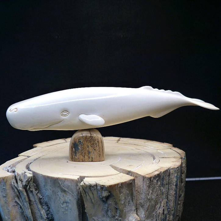 großer Wal aus Mammut