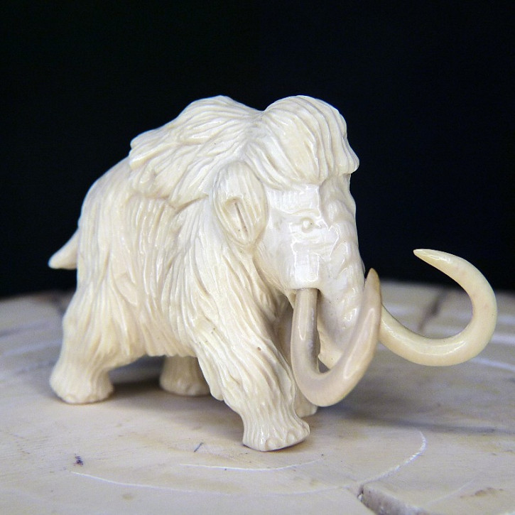 Mammut mit zotteligem Fell