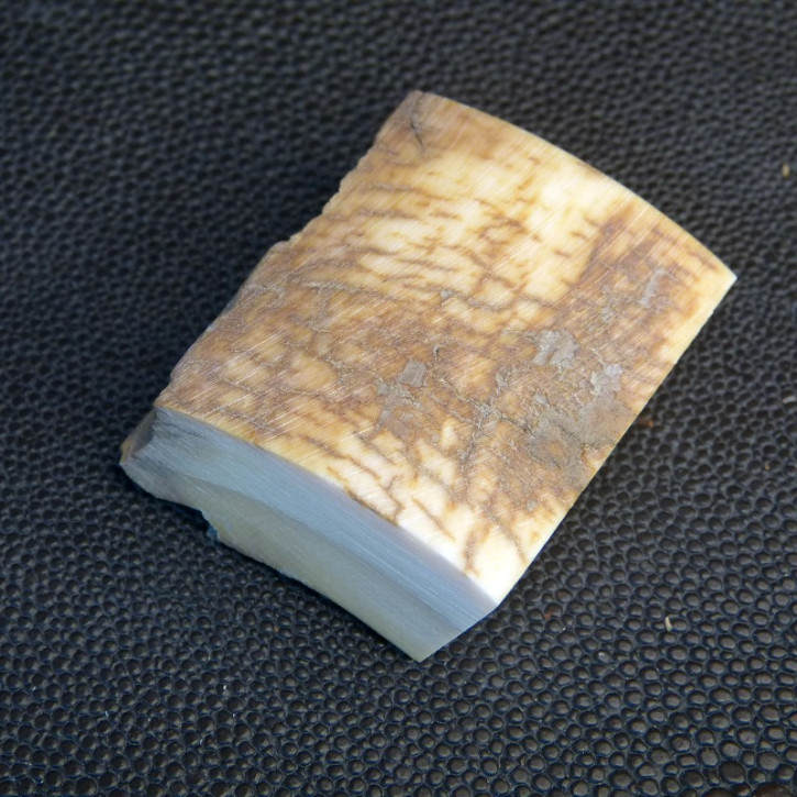 Mammut-Abschnitt mit brauner Färbung ca.39 x 34 x 14 - 17mm