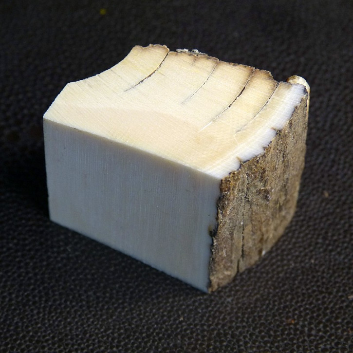 Mammut-Abschnitt mit Rinde ca. 40 x 40 x 24mm