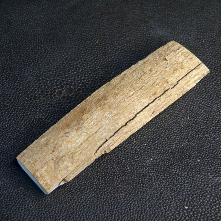 Mammut-Rindenstück ca. 99 x 28 x 8,5 - 12mm