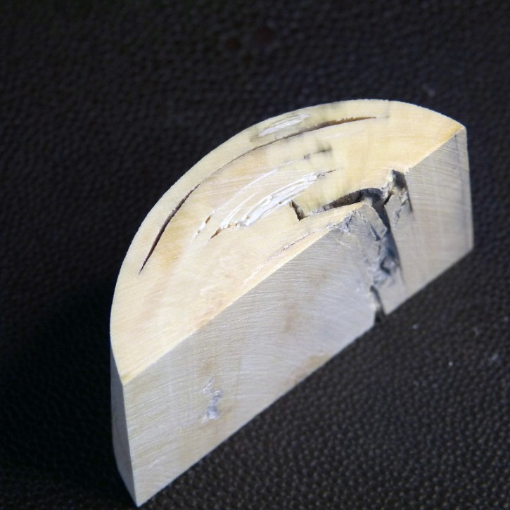Abschnitt vom Mammutzahn mit diversen Rissbildungen ca. 60 x 37 x 19-23mm