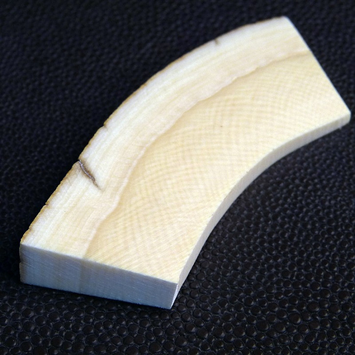 Mammut-Querschnitt mit Rinde ca. 65 x 23 x 10 - 2,6mm