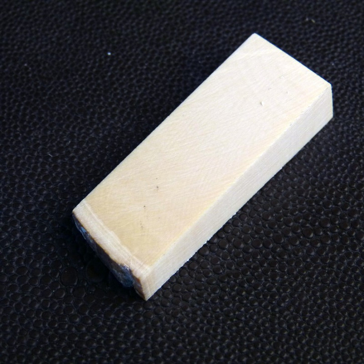 Mammut-Querschnitt ca. 49 x 18 x 10,5 - 6mm