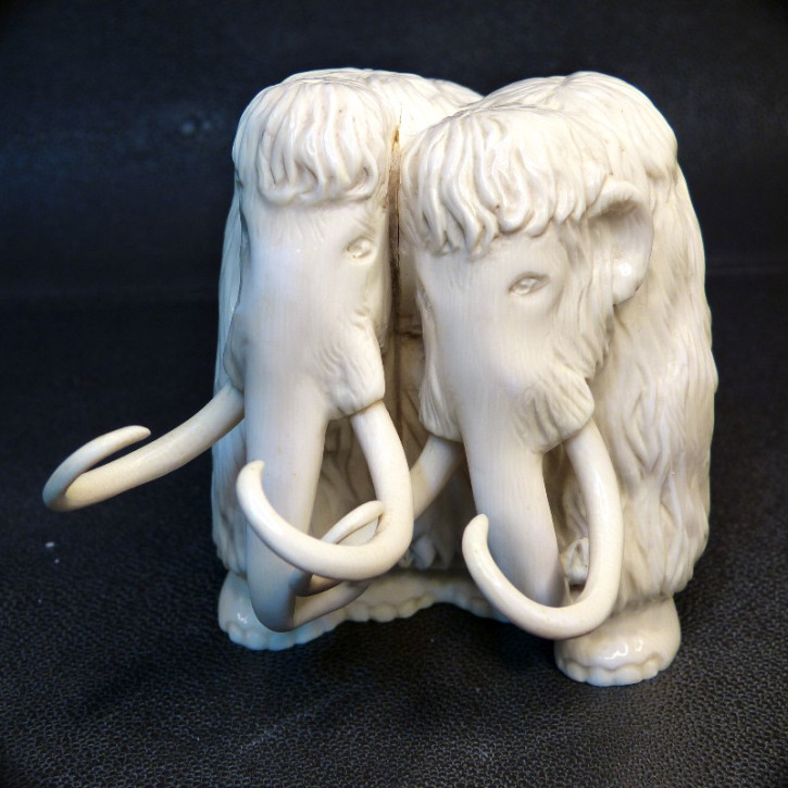 schweres Mammut-Paar aus dem Zahnkern