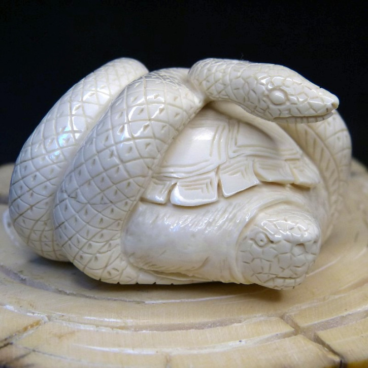 Schildkröte mit Schlange