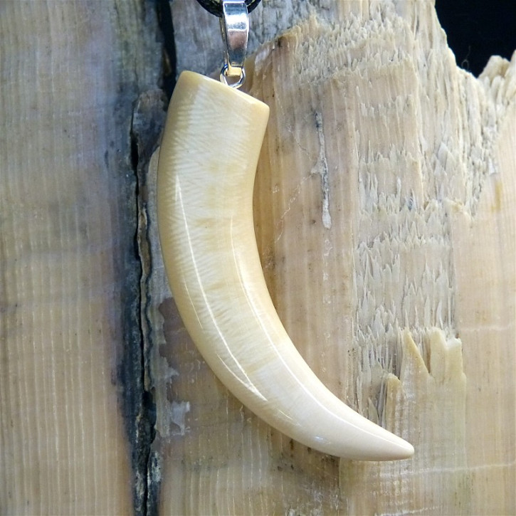 Zahn/-Krallenanhänger aus Mammut