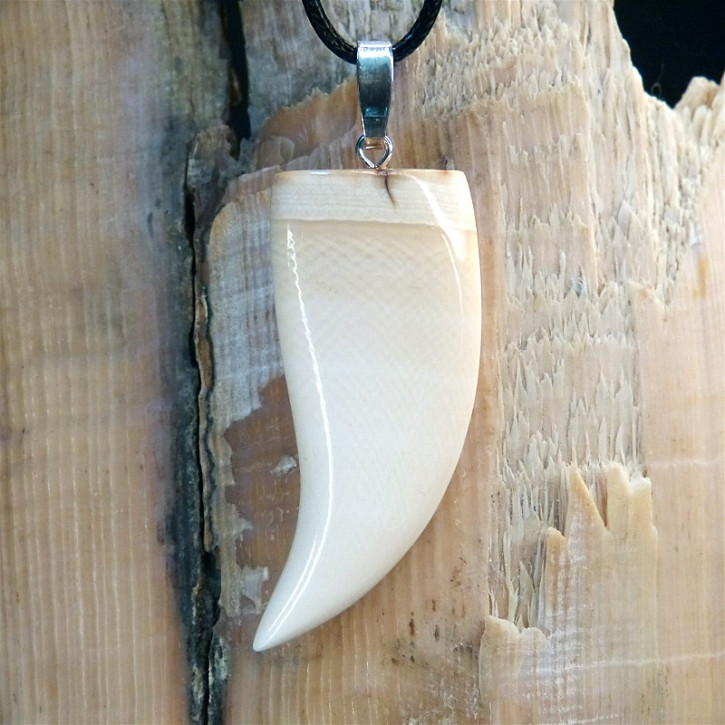 Zahn/-Krallenanhänger aus Mammut