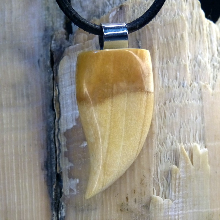 Zahn/-Krallenanhänger mit schönen Färbungen