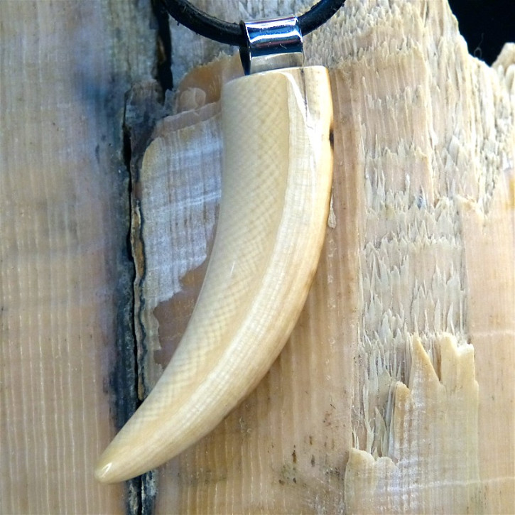 Zahnanhänger aus Mammut mit Rindenfärbung