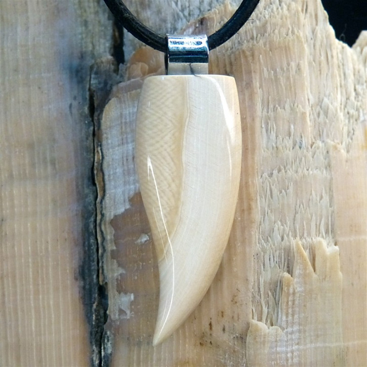 Zahn/-Krallenanhänger mit breitem Zahnschmelz