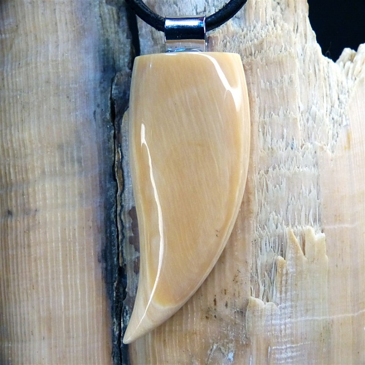 Zahnanhänger XL