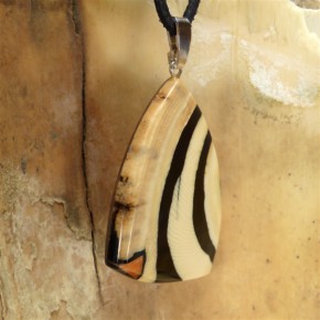 Mammut-Anhänger mit schöner Maserung und Koralle