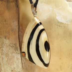 Mammut-Anhänger mit schöner Maserung und Koralle