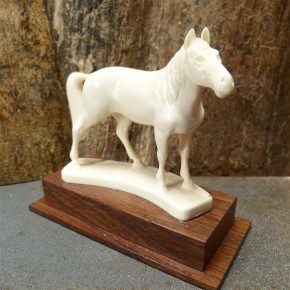 Pferd mit toller Rindenfärbung