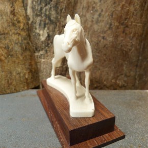 Pferd mit toller Rindenfärbung