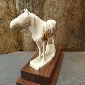 Pferd mit toller Rindenfärbung