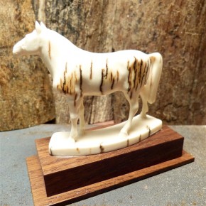 Pferd mit toller Rindenfärbung