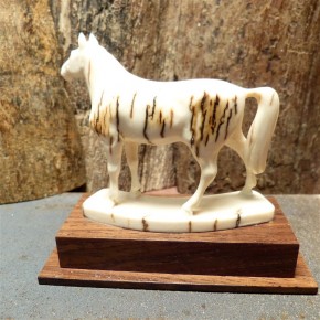 Pferd mit toller Rindenfärbung