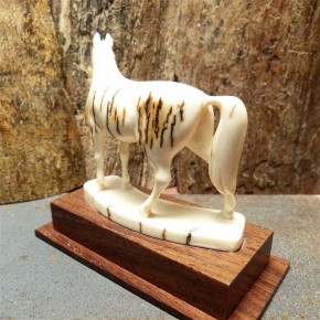 Pferd mit toller Rindenfärbung